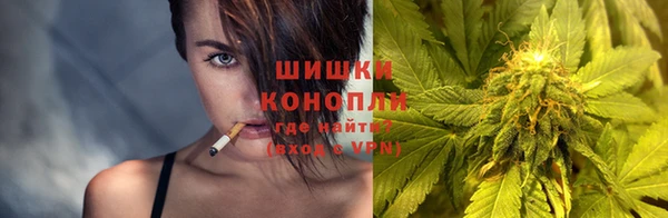 СК Бронницы
