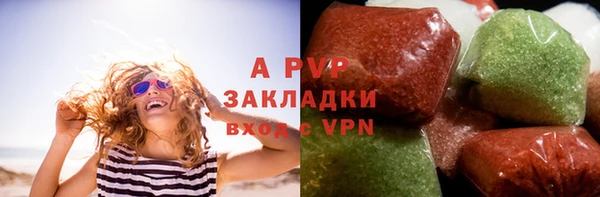 прущий лед Бородино