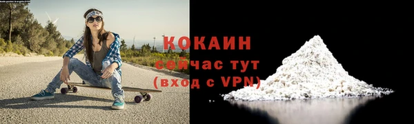 прущий лед Бородино