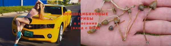 прущий лед Бородино
