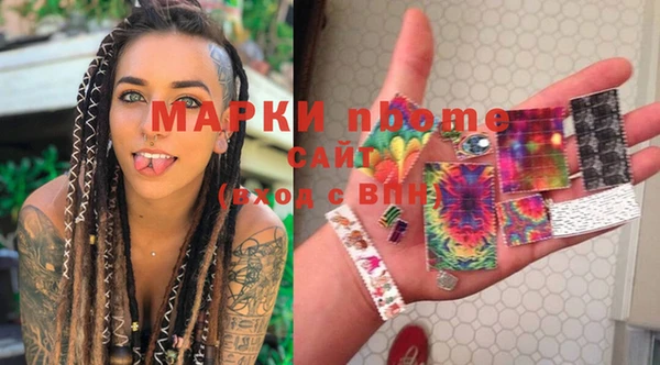прущий лед Бородино