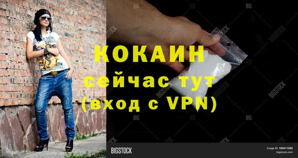 прущий лед Бородино