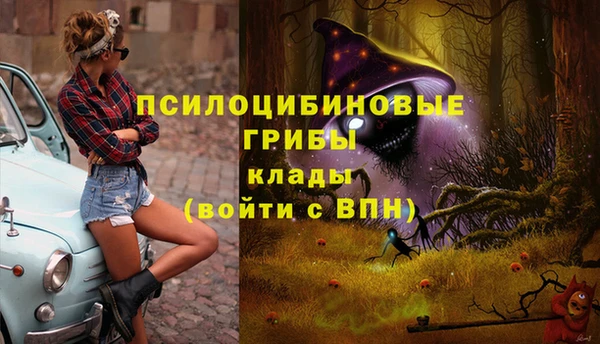 СК Бронницы