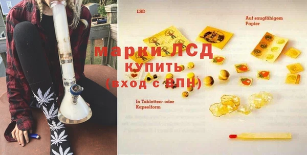 СК Бронницы