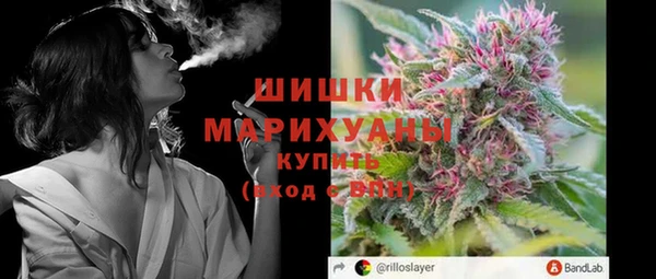 прущий лед Бородино