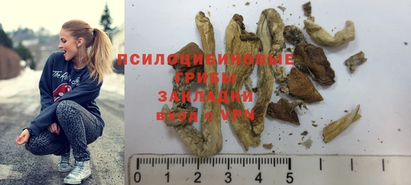 прущий лед Бородино