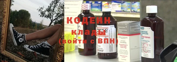прущий лед Бородино