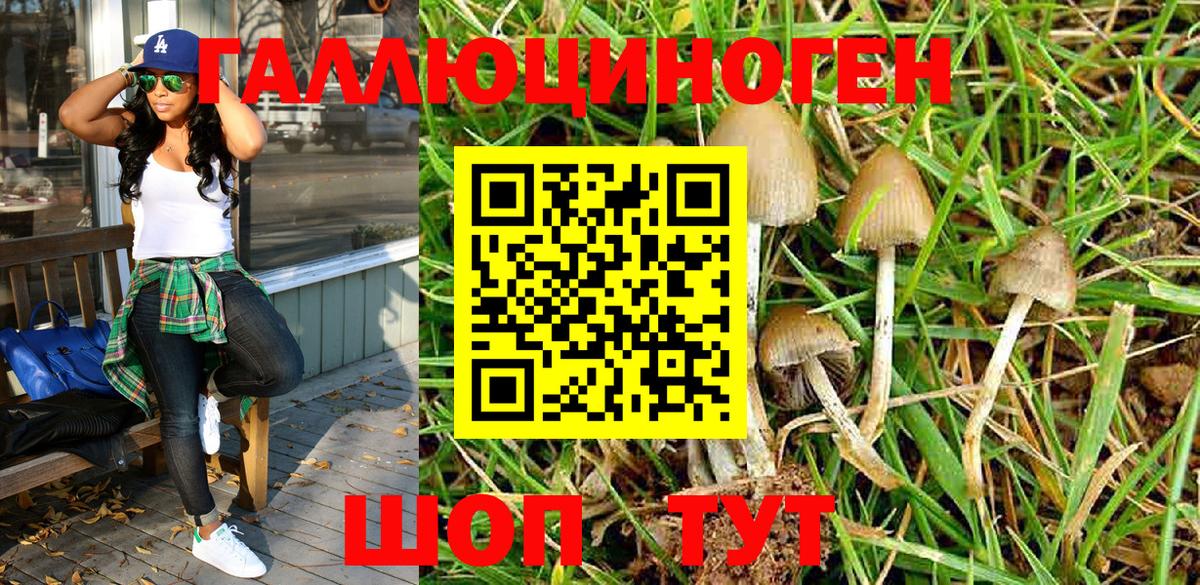 Псилоцибиновые грибы Magic Shrooms Бутурлиновка