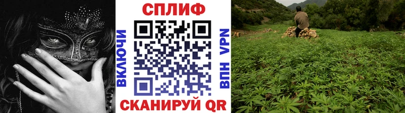 Шишки марихуана THC 21% Бутурлиновка